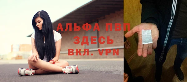 СК Алексин