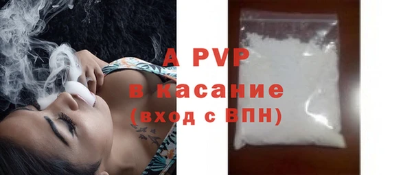 СК Алексин