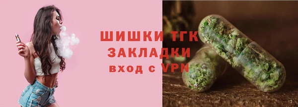 СК Алексин