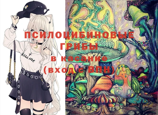 СК Алексин