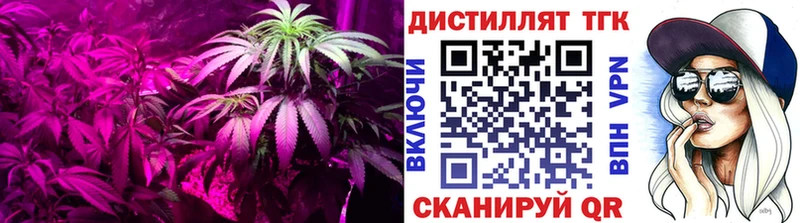 площадка Telegram  купить закладку  Заозёрный  ТГК THC oil 